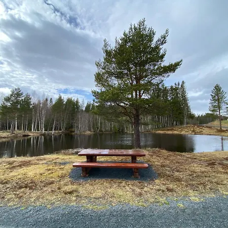 Gresslifoss Camping Campeggio